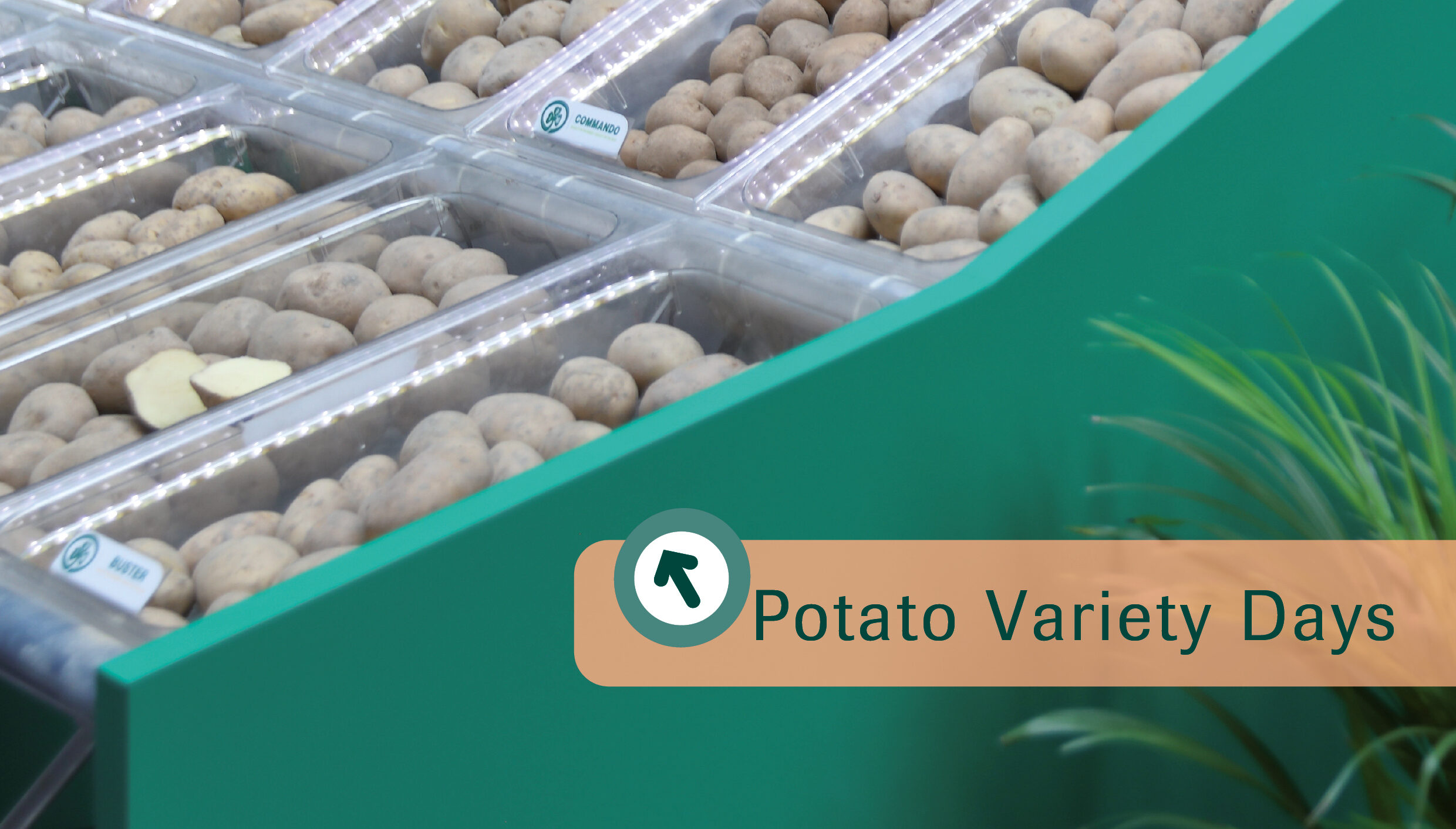 event: Potato Variety Days